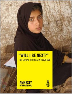 Amnesty International report, "Will I be next?"