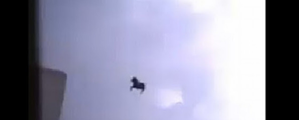 Flying horse in Saudi Arabia